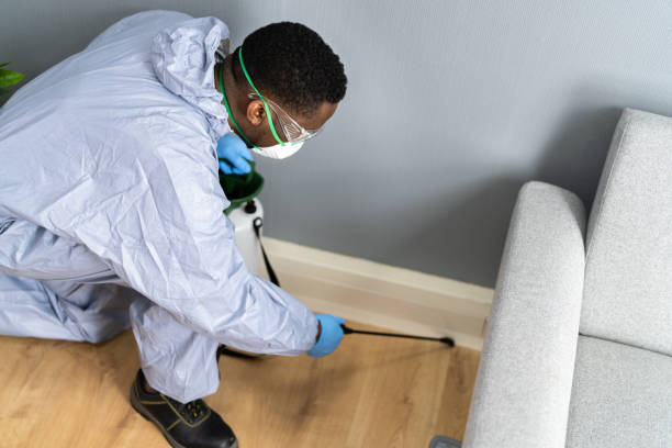 Best Residential Pest Control  in Andale, KS